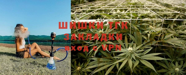 спайс Алексин