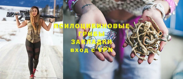 спайс Алексин