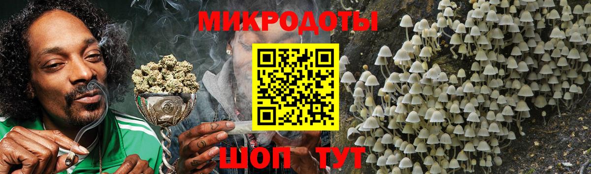 купить   Псилоцибиновые грибы Cubensis  Вход с VPN  Углич  Псилоцибиновые грибы мицелий 