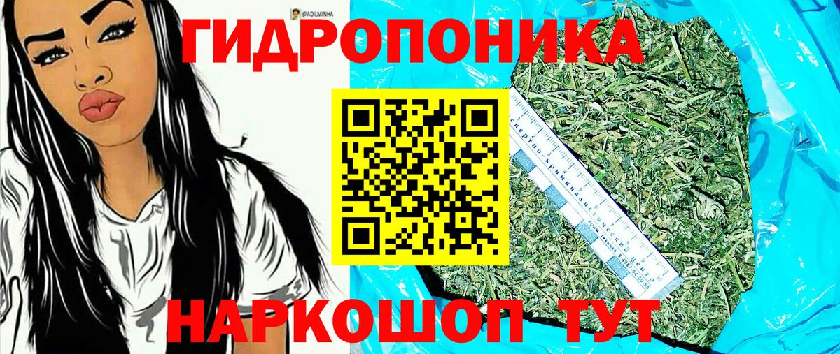 Шишки марихуана планчик  Бошки марихуана Amnesia  Углич  Марихуана семена  Вход с VPN 